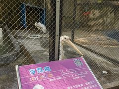 -广东茂名森林公园