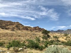 -国强手抓(西夏区店)