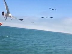 -海驴岛(荣成市)