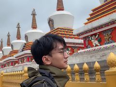 -塔尔寺-菩提树