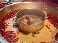 -小龙翻大江文化火锅(宽窄店)