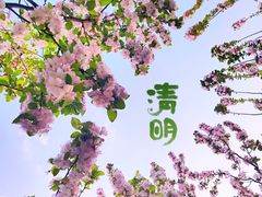-海棠花溪(元大都城垣遗址公园)