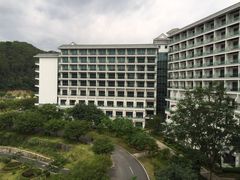 -河源万绿湖美思威尔顿酒店