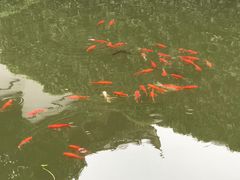 -宁波市保国寺古建筑博物馆