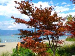 -泸沽湖国家级风景名胜区走婚桥