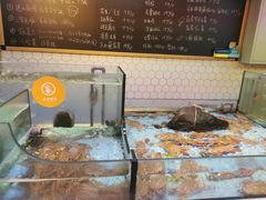 水产区-日进一片海.生腌海鲜火锅.宵夜烧烤(三里屯总店)