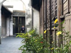 -乌镇东栅景区