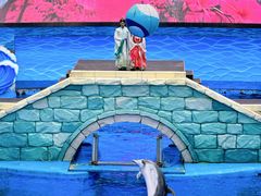 -海合安成都极地海洋公园