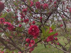 -蜀冈西峰生态公园