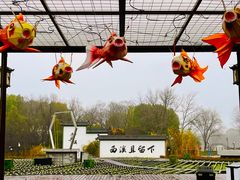 -西溪国家湿地公园