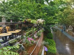 -Home Cafe