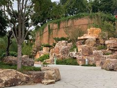 -青枫公园