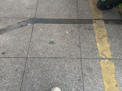 -索拉古贝(义乌北苑店)