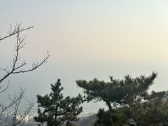 -石老人观光园
