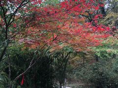 -南山风景名胜区