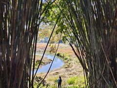 -佛山市三水区大南山森林公园