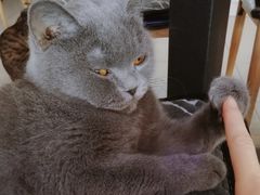 -平行世界·猫咖(首经贸店)