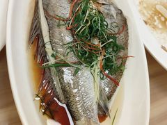 -日日香卤鹅饭店·澄海狮头鹅(澄海店)