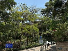-香港大学