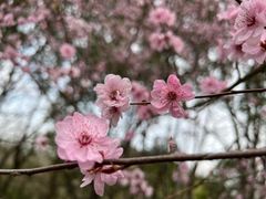 -同里国家湿地公园