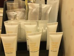 -京都全日空皇冠假日酒店