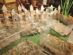 -杭州开元名都大酒店·地中海自助餐厅