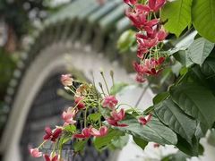 -馨园villa融合菜(东山店)