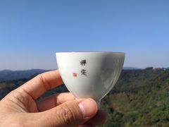 -天鹿湖森林公园