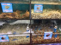 -范饭椰林川湘味海鲜·椰子鸡(三亚湾椰梦长廊店)