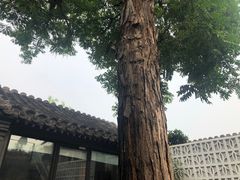 -SUSU·苏苏(四合院创始店)