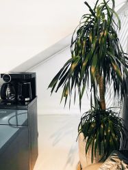 -I+造型烫发染发