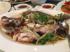 清蒸石斑鱼-麒麟海鲜酒家(Richmond)