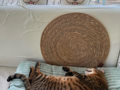 -小时光咖啡馆(北锣鼓巷店)