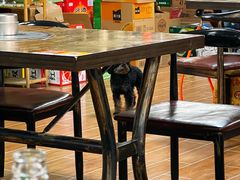 -清真·馬坡二旦烧烤(人生一串拍摄店)