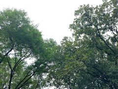 -杭州花家山庄