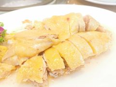 -港升鱼师傅·中山脆肉鲩