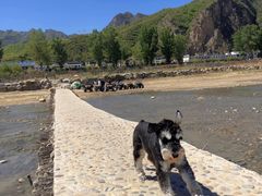 -百里峡七彩艺术小镇