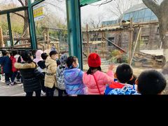 -蓝莓果幼儿园(通州梨园店)