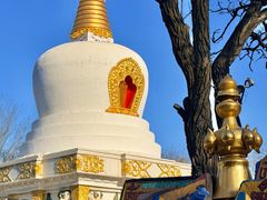 -护国法轮寺