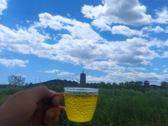 -永定河休闲森林公园