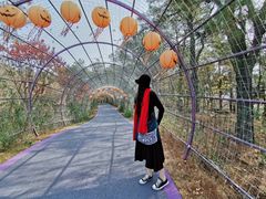 -大塘金香草谷