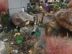 -和园景逸大酒店朗月汤泉