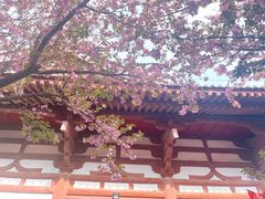 -西安青龙寺遗址景区