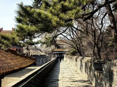 -沈阳市东陵公园