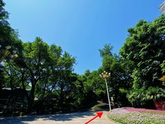 -鹅岭公园瞰胜楼