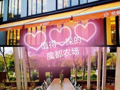 -前小桔亲子创意农场·草莓采摘·露营烧烤