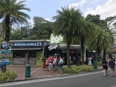 -圣淘沙天际线斜坡滑车