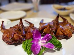 琵琶乳鸽-五邑人家(江门店)