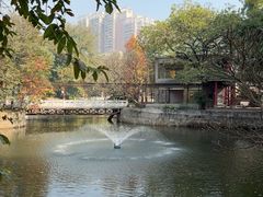 -荔湾湖公园