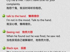 -引领英语·成人口语·雅思托福